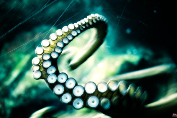 Как зайти на kraken маркетплейс