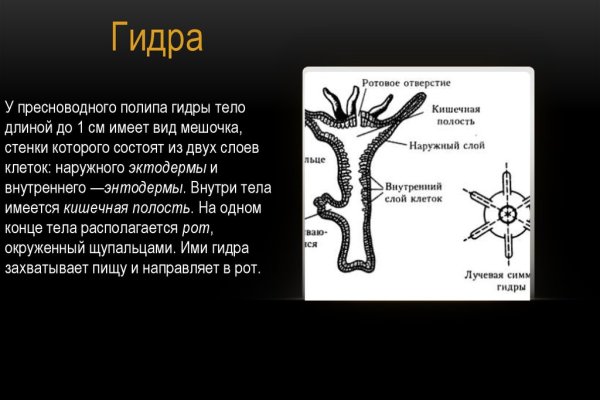Кракен перейти