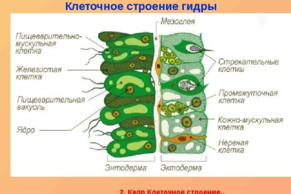 Кракен маркет даркнет speed up