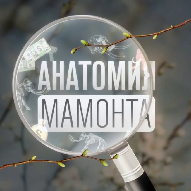 Как зайти на кракен через браузер
