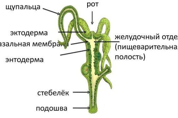 Кракен маркетплейс магазин