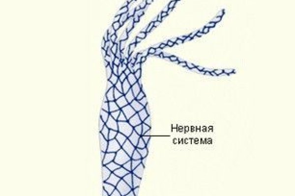 Реальные ссылки кракен