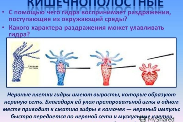 Найти ссылку кракен