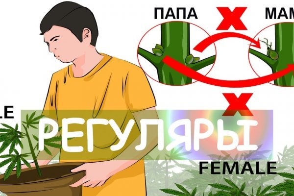 Ссылка на кракен в тор браузере kr2web in