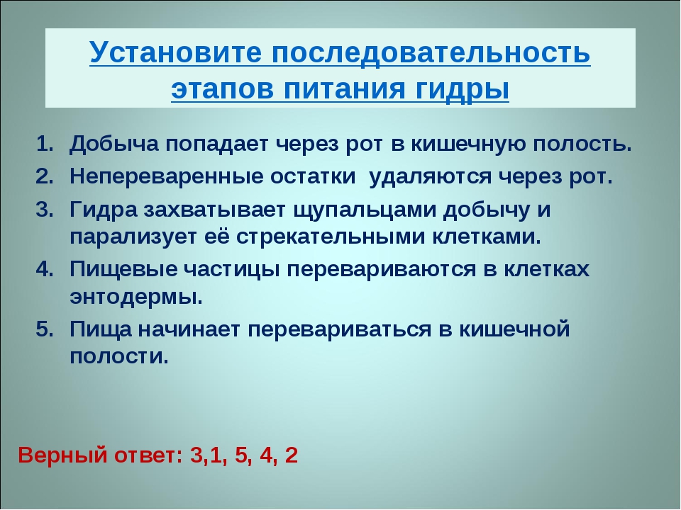 Кракен сайт упал