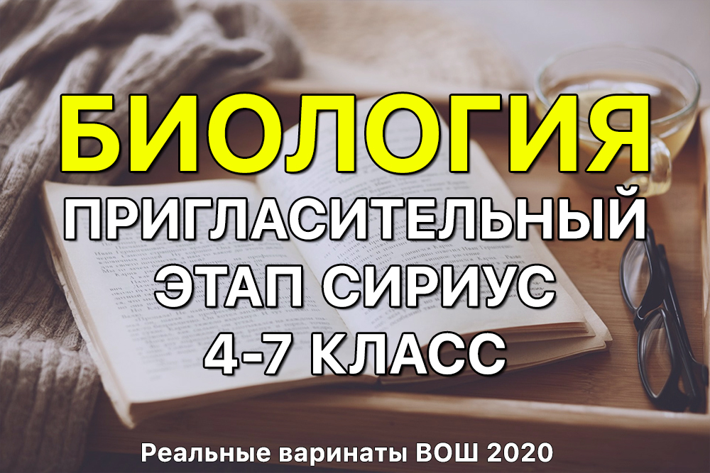 Clear ссылка на кракен
