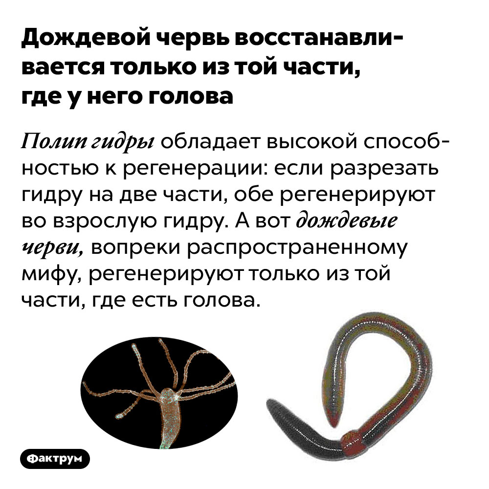 Kraken 2025 ссылка